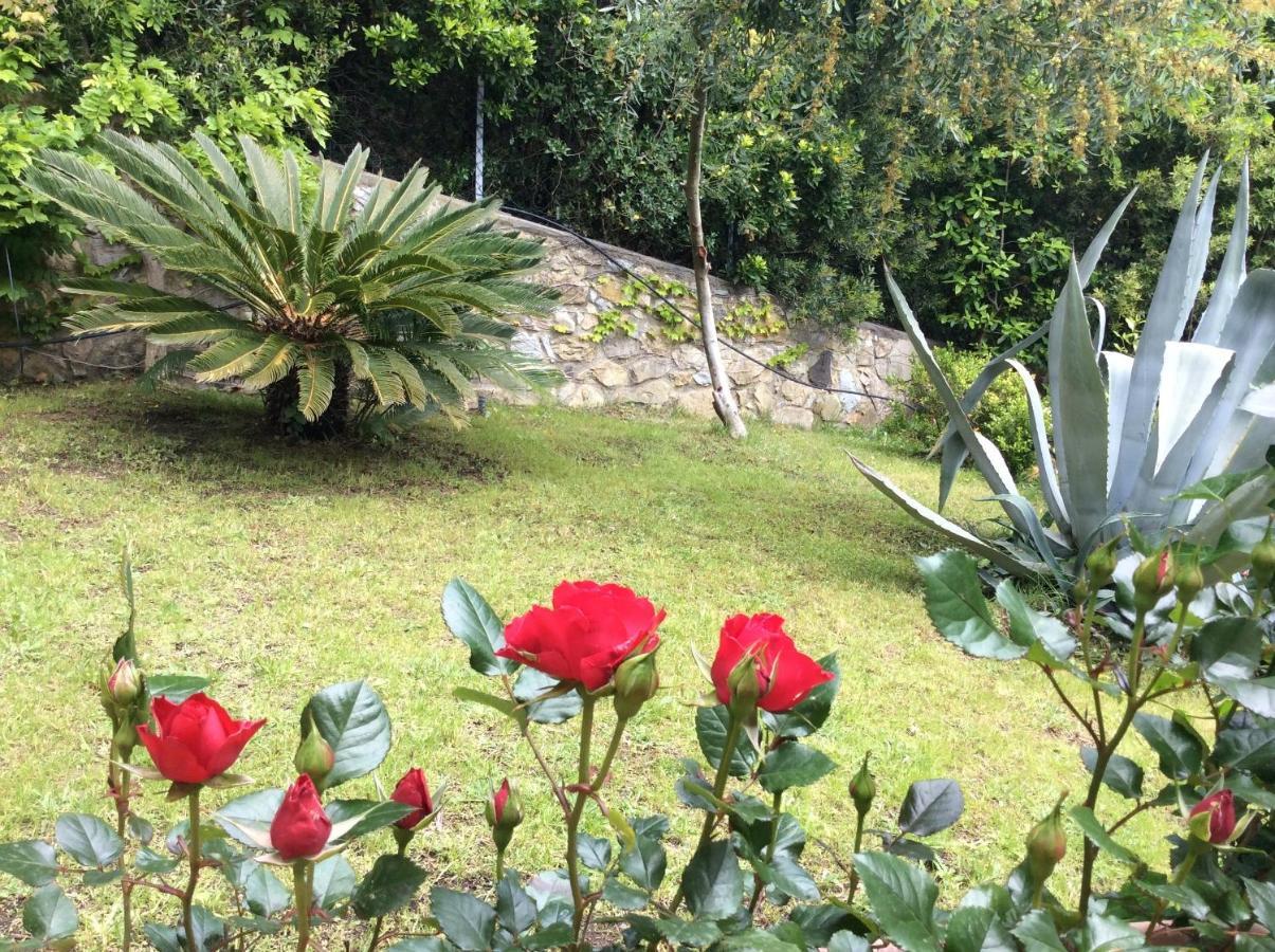Tra Mare E Bosco Nella Splendida Quercianella Villa Dış mekan fotoğraf
